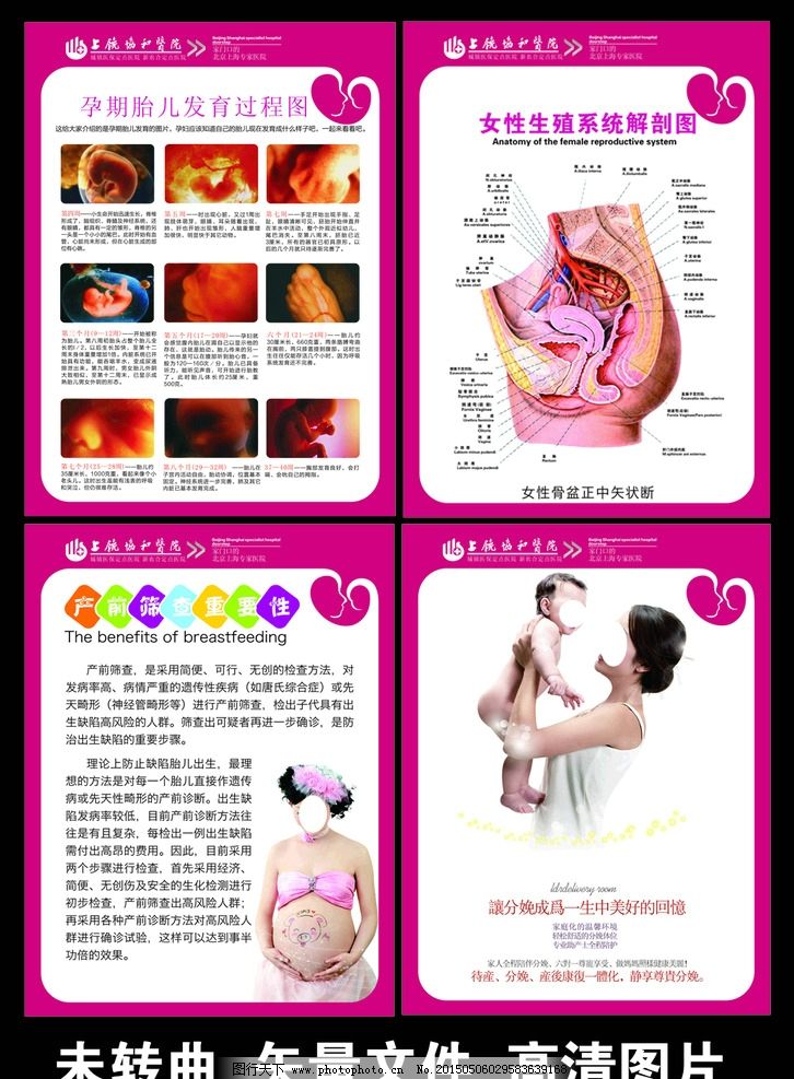 妇产科孕期知识宣传图片