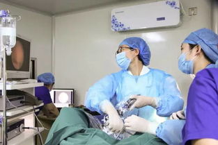 电话占线,反响热烈,这些名医在大连火了 复兴医院妇科专家六月继续来连亲诊,现在预约还免专家挂号费