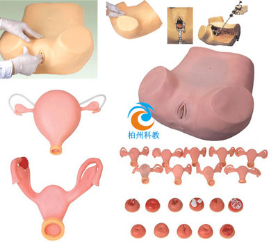 高级妇科训练模型在妇产科教育中的重要性与应用